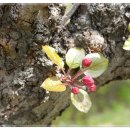 남동국민체육센터 이미지