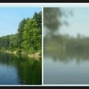 수(SU)안경 이미지