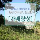 거제도 문화유산 - 경상우수영이 있었던 가배량성
