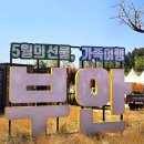 부안 | 부안축제 부안마실축제 방문후기