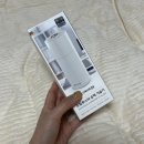 모던루스터