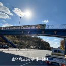 함평 겨울빛축제 이미지