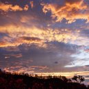 도화동산 이미지