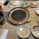 미스터복어 이미지