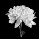 스마트행정사 사무소 이미지