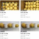 하늘이네 농장 이미지