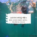 브라더카케어 - 금정구 금단로 180 | 보라카이 4박5일 여행 4 (졸리비, 보자무싸 호핑투어, 일리아스, 레드크랩, 망고, 망고스틴)