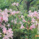 이시돌쉼터 이미지