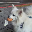 이토리