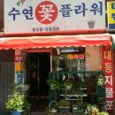 수연플라워 네이버블로그