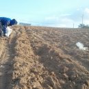 이삭도우미 이미지