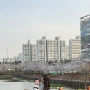 평택시 배다리저수지2 이미지