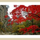 스타 무도장 이미지