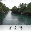 과원동로 이미지