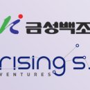 에스인베스트먼트