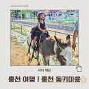 송이마을사슴농장 | 강원도 홍천 가볼만한곳 추천 | 25개월 아기와 동키마을 후기