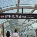 시민의숲산책로1-11 | [공지] 숨은 명소 끝판왕, 양재 시민의 숲 여의천 벚꽃 실시간 후기