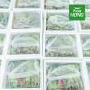 홍의동농장 이미지