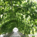 여주-0710 이미지