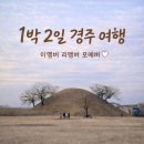 NR-4[원화로]-하-7 | 1박 2일 경주 여행 뚜벅이 코스 첫날 기록 ♥ 이멤버 리멤버 포에버