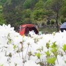 쇠사슬감기틀 이미지