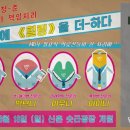 청춘의원 네이버블로그