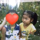 효돈초등학교 병설유치원 이미지