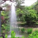 봉제산 등촌동 숲속놀이터 이미지