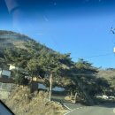 모리의 언덕 이미지