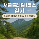솔밭쉼터식당 | 🌿 자연과 사람이 함께 걷는 서울둘레길 1코스 / 트래킹을 통해 건강의 행복을 얻다