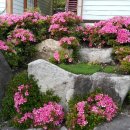 풍경민박펜션 이미지