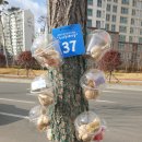 우리동네미술 거리 이미지