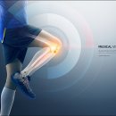 약대한방병원 이미지