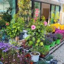 송학초등학교 앞 이미지