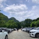 남창애견 | 전남 장성 계곡 남창농원 애견동반 가능 광주 근교 물놀이