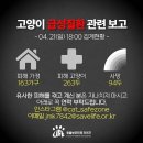 허동물병원 이미지