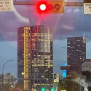 영영쌈밥 | 10월 캐나다 캘거리 &amp; 밴프 여행 1일차 - 험난했던 캐나다 캘거리 출국기(시애틀 공항 환승 MPC)