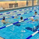 하비엘럭스 이미지