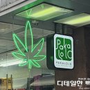 일라스토어
