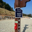 써니아일랜드