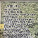 도고막국수장수관