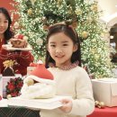 수케이크 이미지