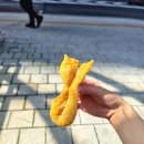 찹쌀꽈배기타코야끼
