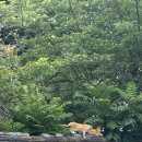 구미중앙로45길 이미지