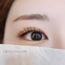 러블리속눈썹