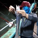 현대바다낚시터 이미지