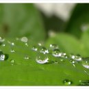 옹달샘분수 이미지