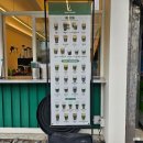 주정차단속-144 | 전주 송천동 카페 왓커피 진한 요거트 블루베리와커피