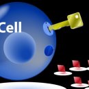 신내헬스 이미지