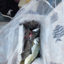 방어진낚시 이미지